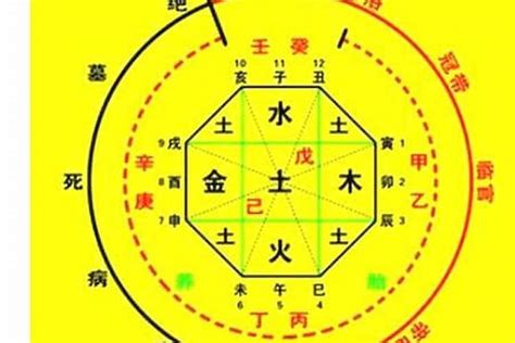 八字神數|八字算命：八字測算、生辰八字命磐免費查詢